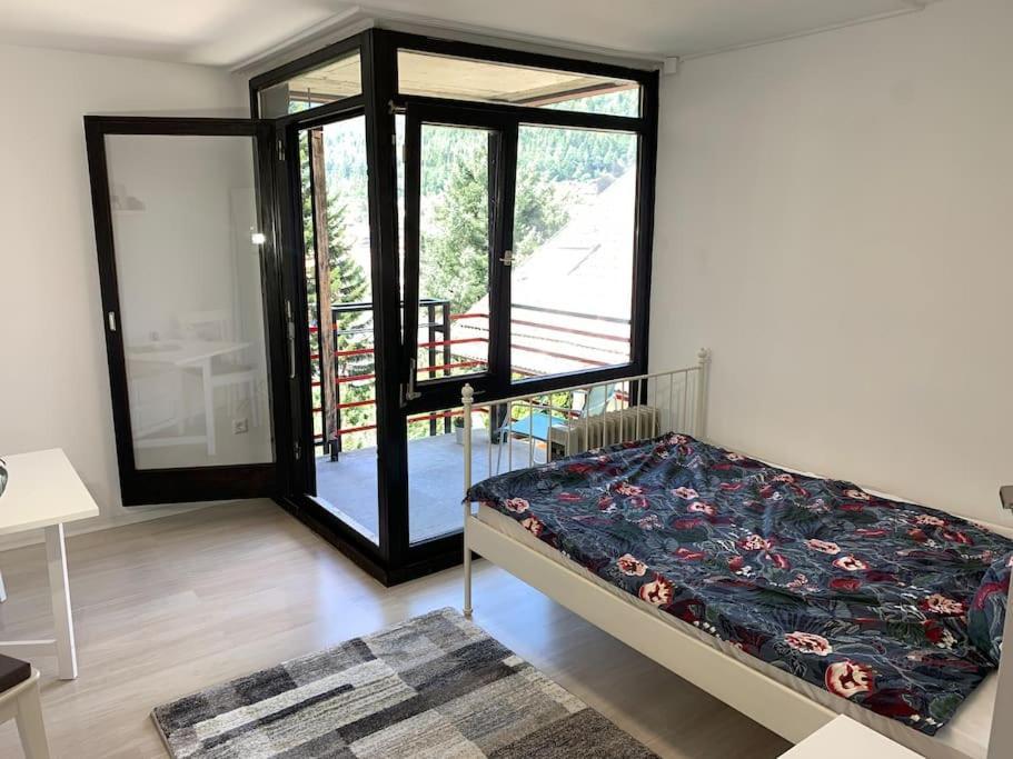 Gemuetliches Einzimmer-Apartment 33 Бад-Вильдбад Экстерьер фото