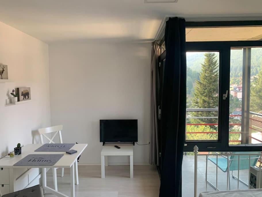 Gemuetliches Einzimmer-Apartment 33 Бад-Вильдбад Экстерьер фото